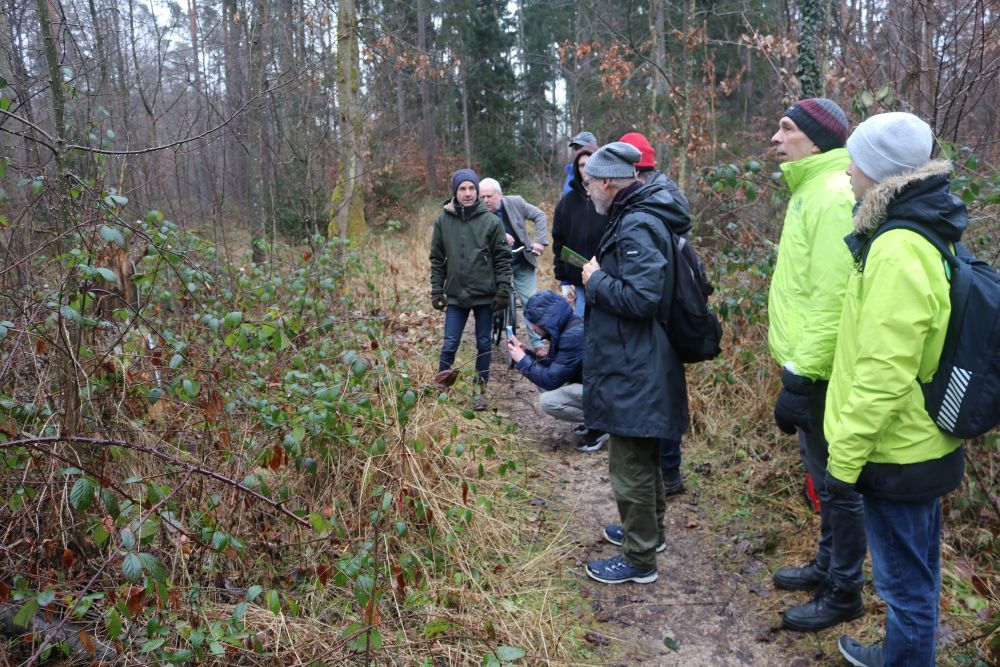 Foto: Wolfgang Dötsch