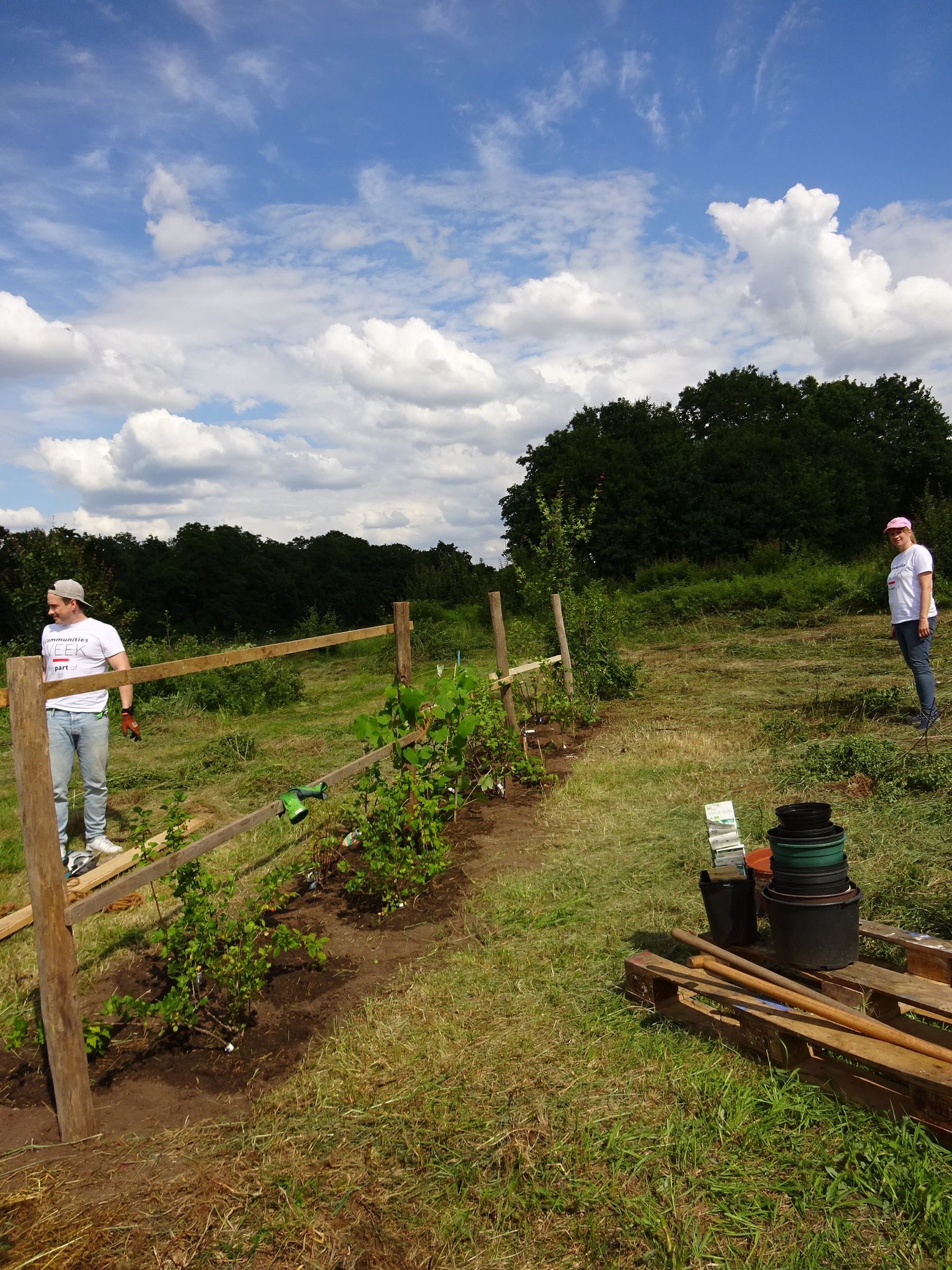 Beet fast fertig Beet fast fertig