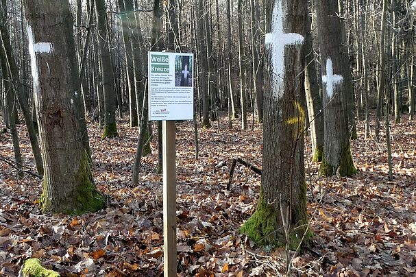 Weiße Kreuze am Kothbrunngraben