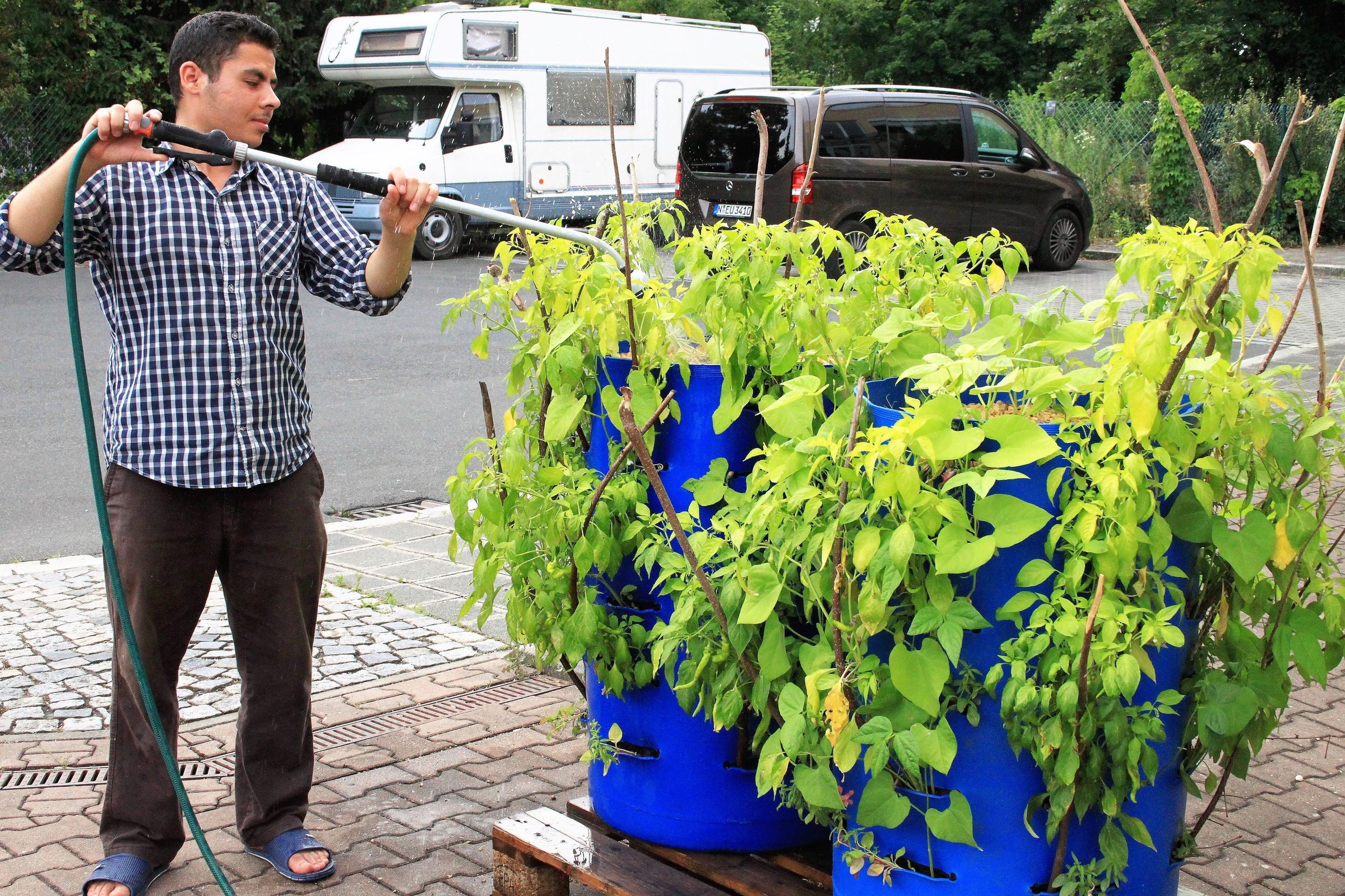 abendliches Gießen abendliches Gießen