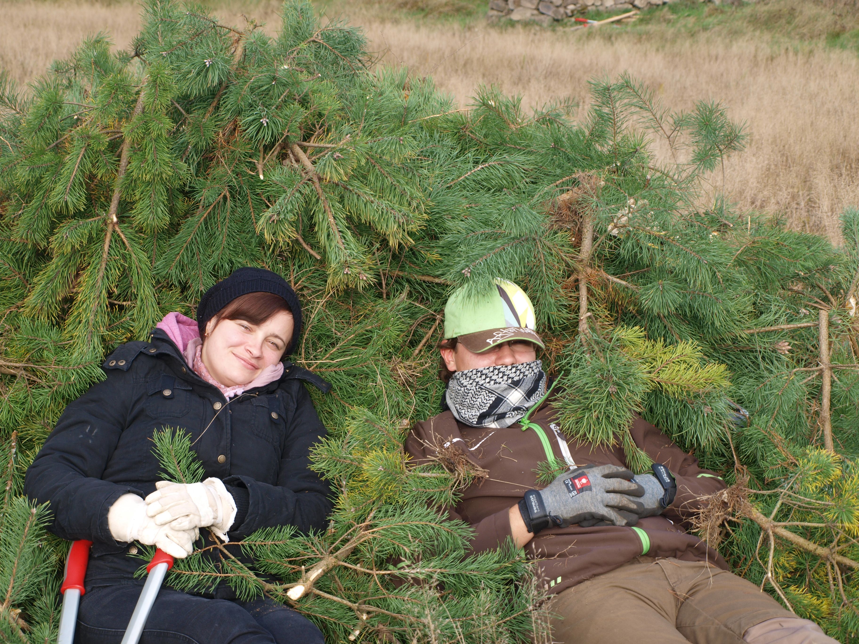 Kiefernaktion Kornburg Kiefernaktion Kornburg