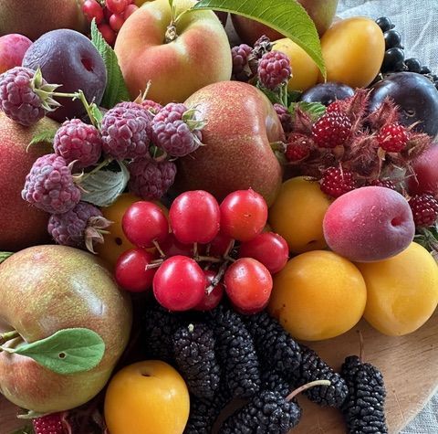 Obstteller (Foto: Gerd Meyer)