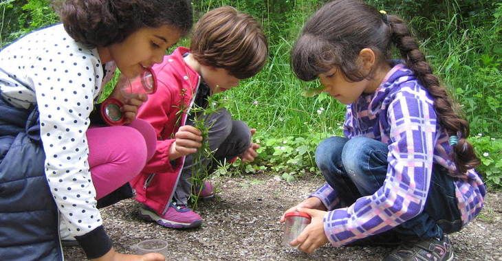 Kinder erleben Natur