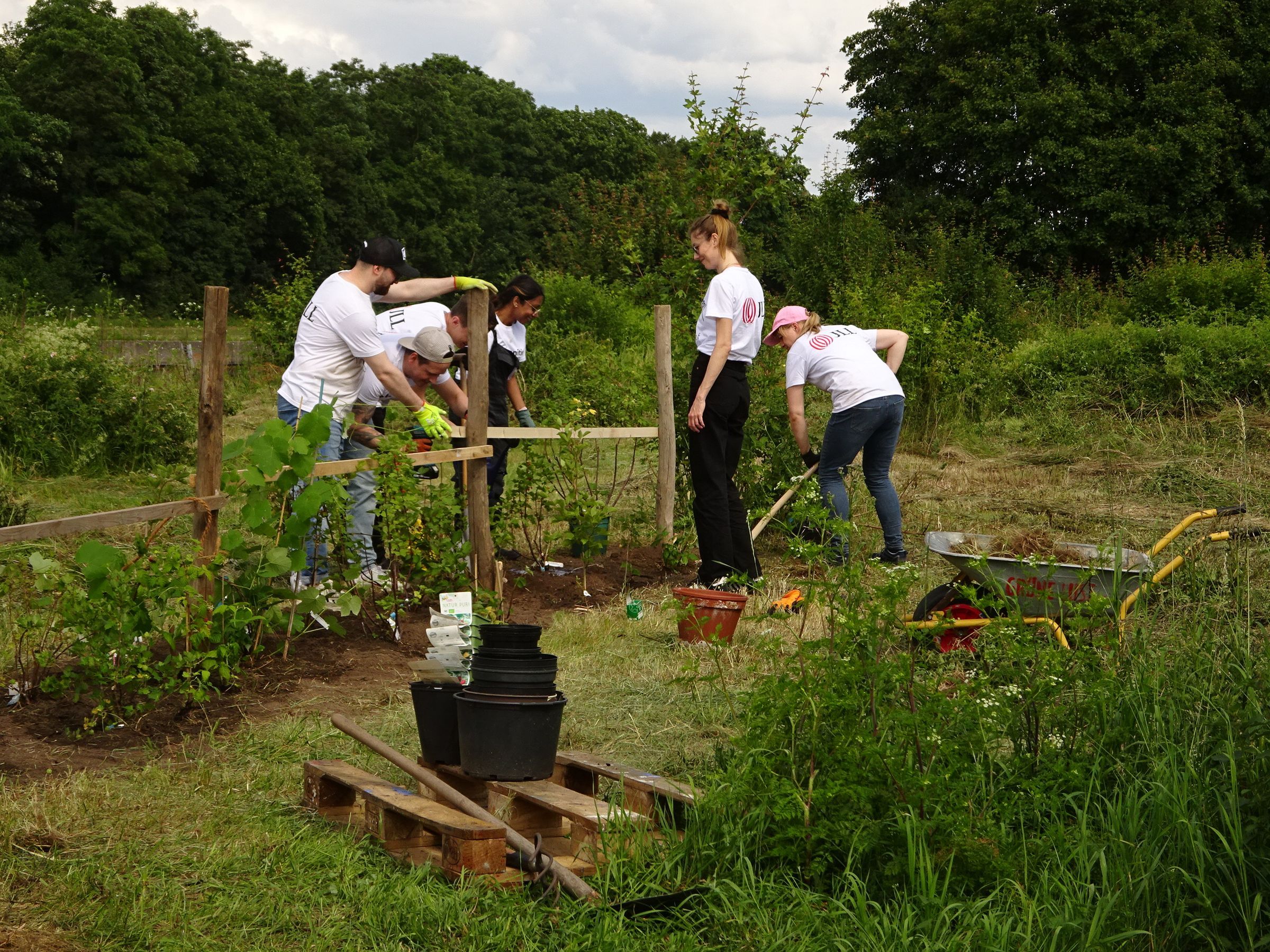 Beet anlegen Beet anlegen