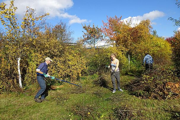 Pflege der Streuobstwiese Eibach