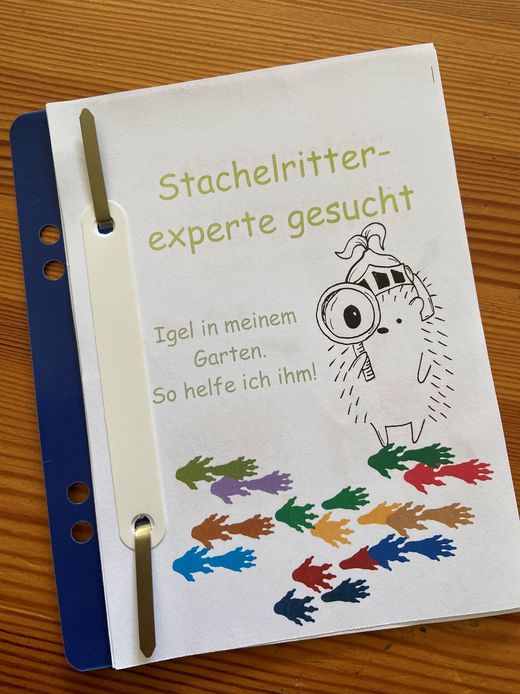 Igelschutzflyer