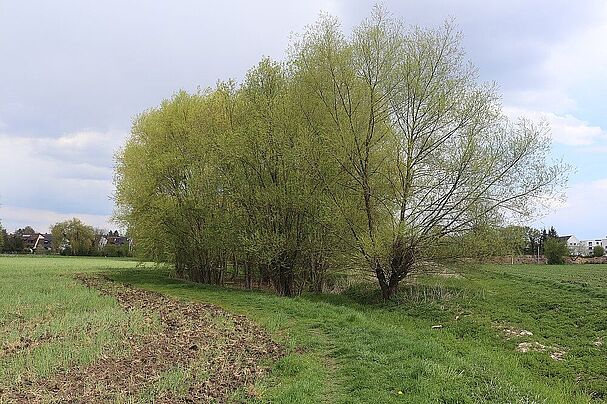 Wetzendorfer Landgraben