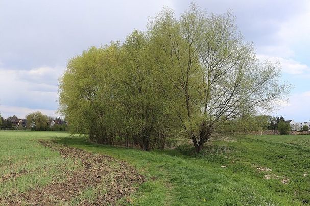 Wetzendorfer Landgraben