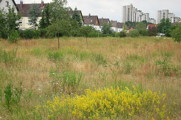Streuobstwiese Eibach