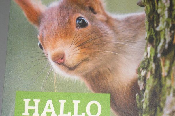 Eichhhörnchen auf Türhänger