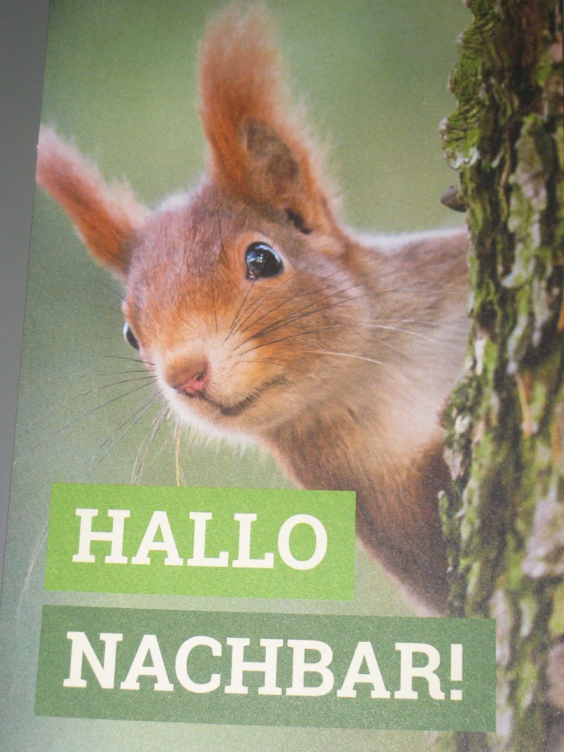 Eichhörnchen auf Türhänger