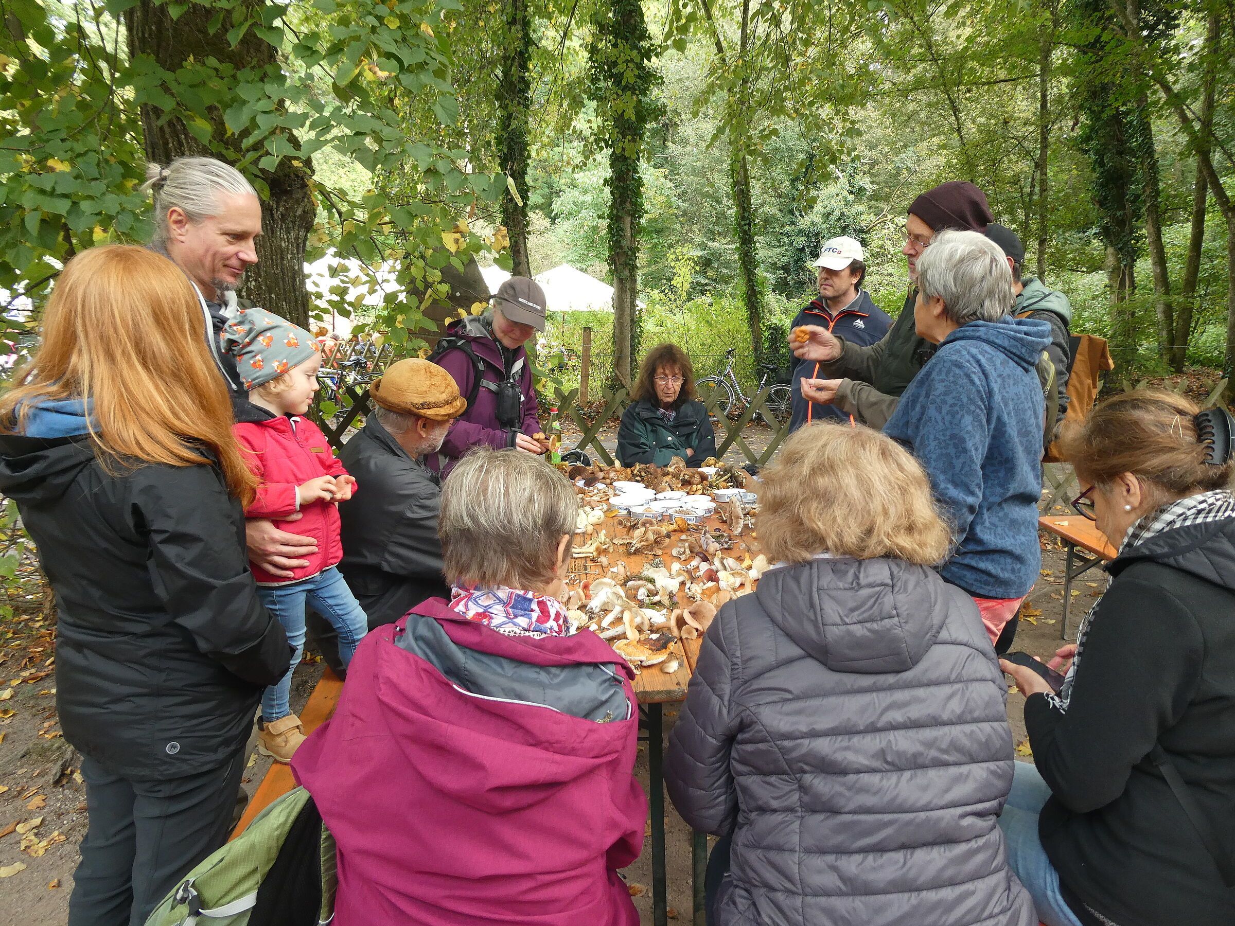 Foto: Ingrid Teutter