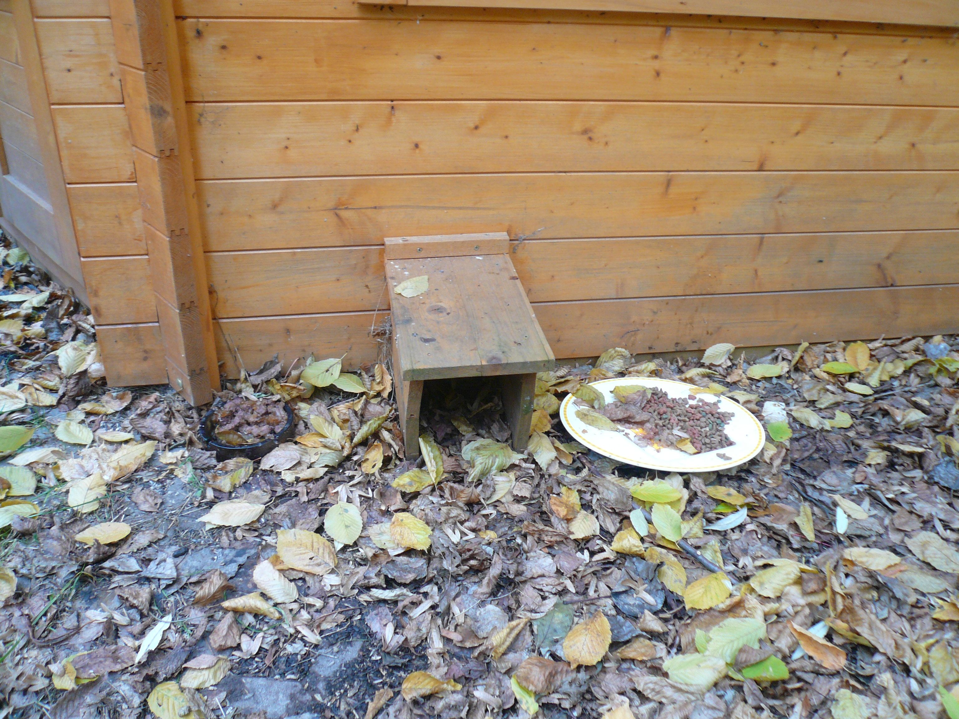 Unterschlupf für Igel