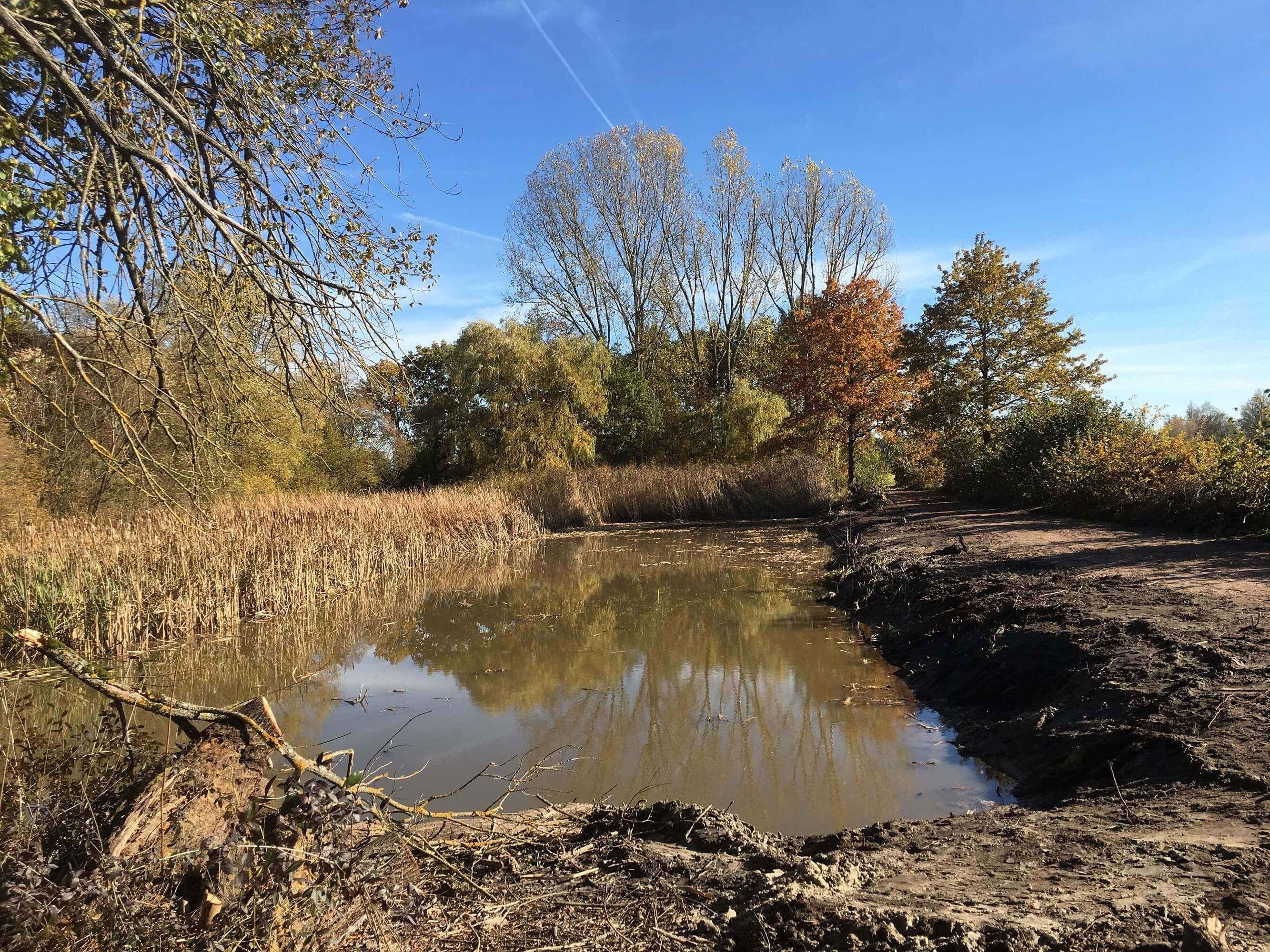 ausgebaggerter Weiher in Reutles