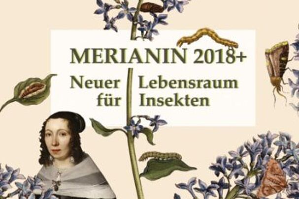 Merianin 2018+