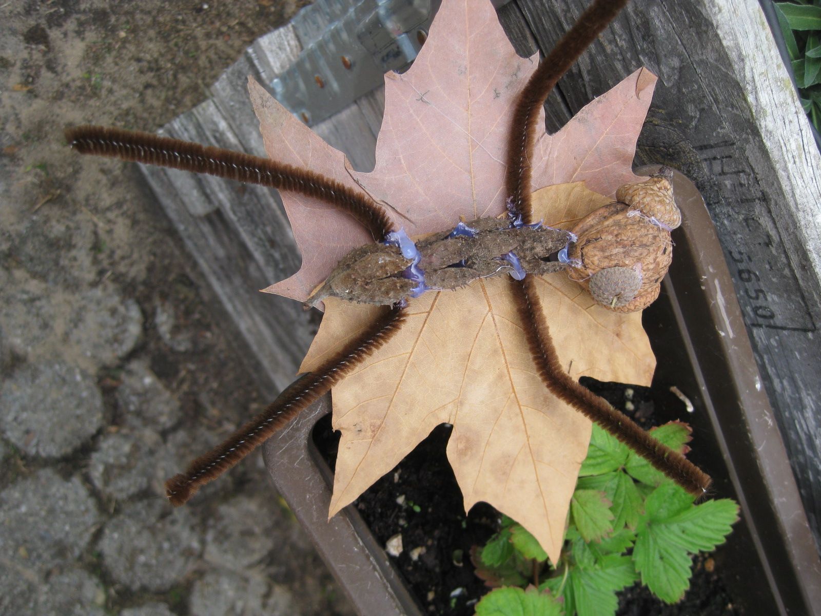 Fledermaus aus Naturmaterialien