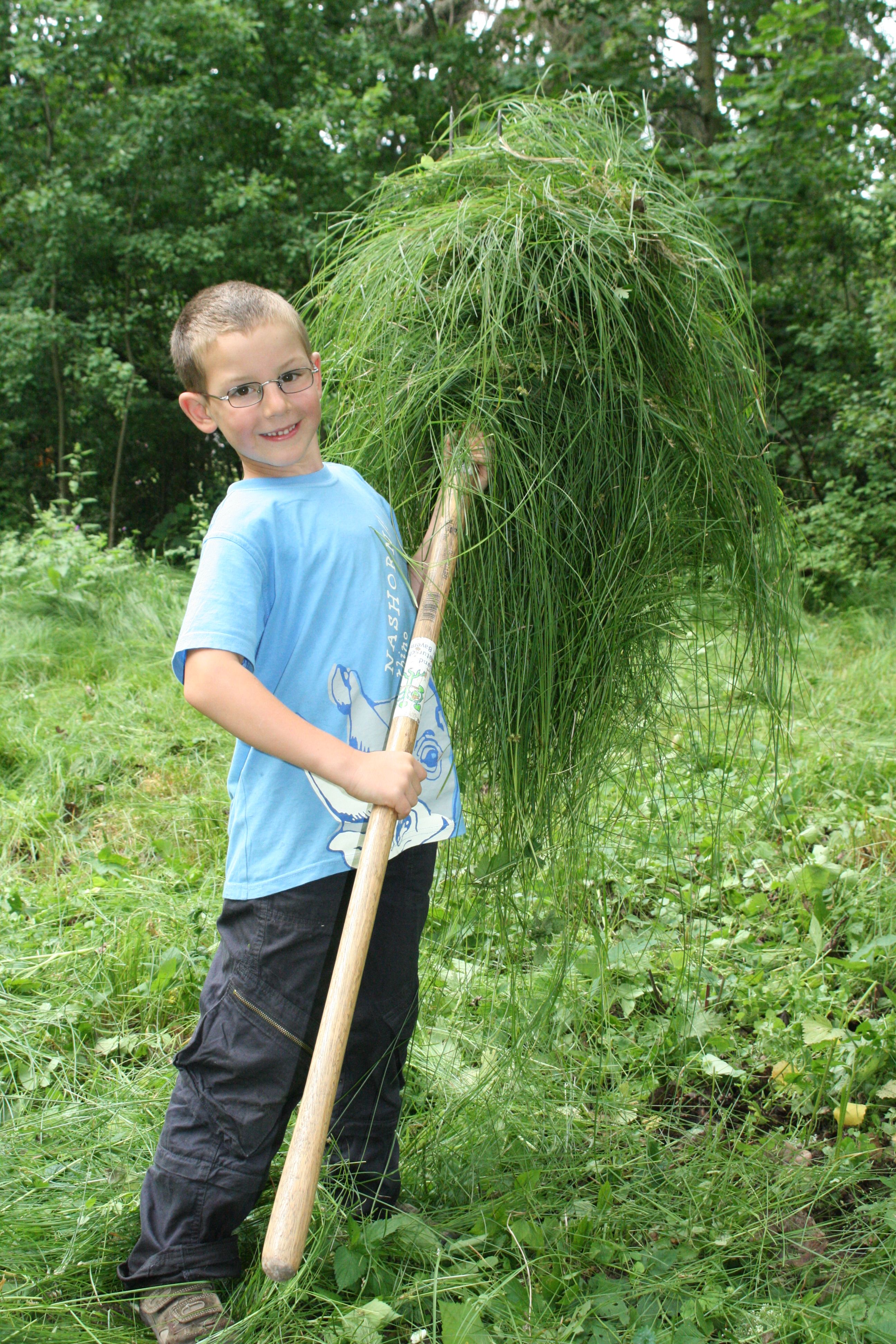 Sensenmähkurs Goldbach Sensenmähkurs Goldbach