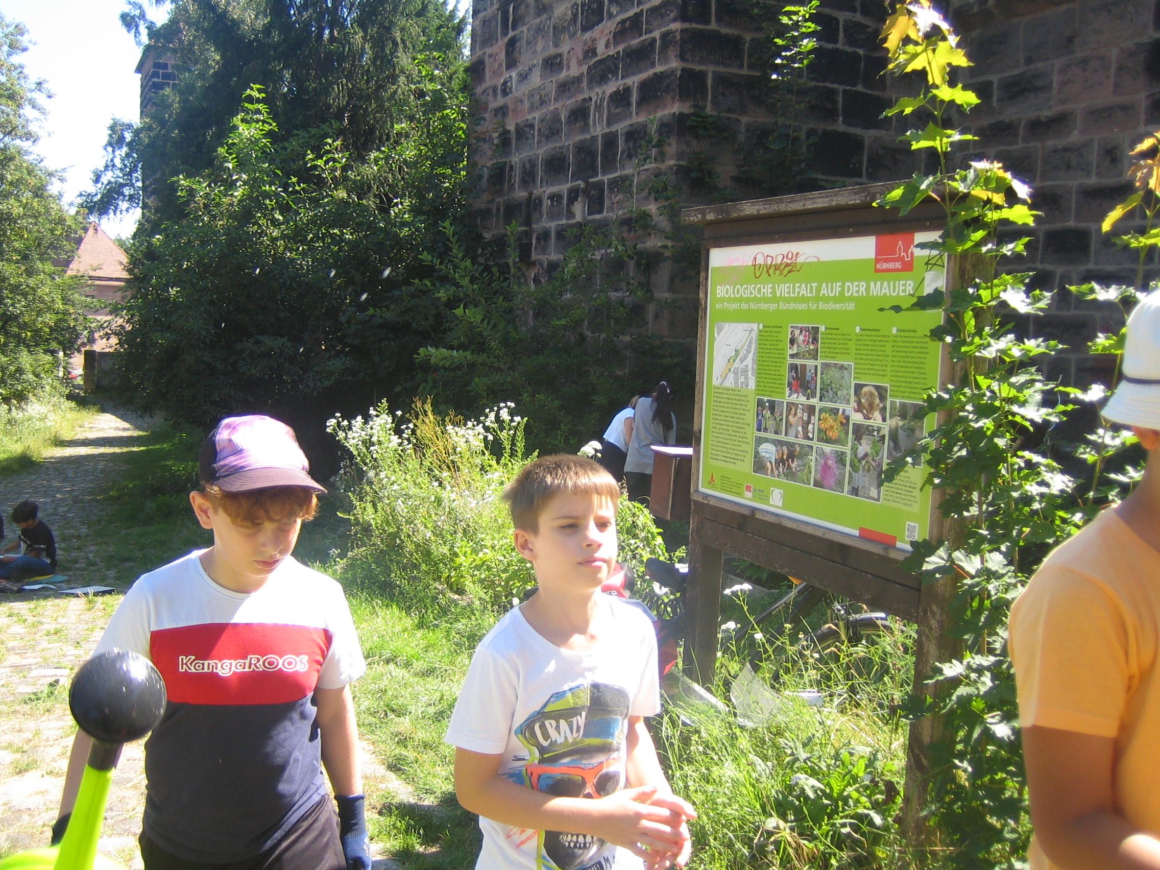 Brennnesseljauche (Foto: Barbara Philipp) Brennnesseljauche