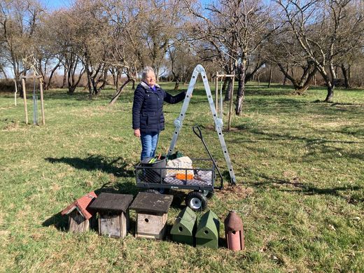 Nistkästen in Kleingründlach (Foto: Manfred Wannemacher)