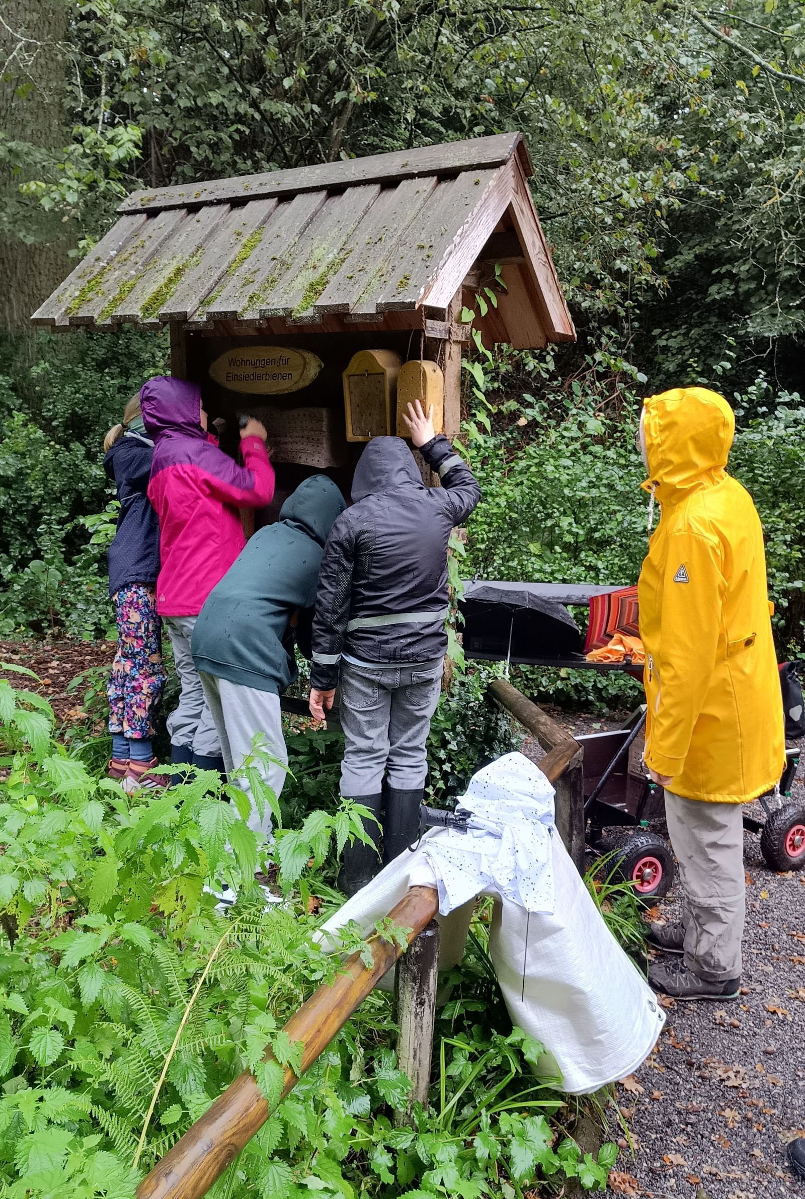 Abbau des Insektenhotels