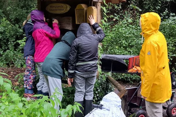 Abbau des Insektenhotels