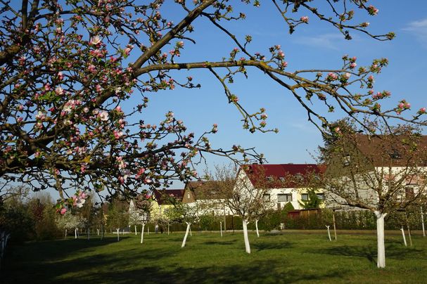 Streuobstwiese Eibach Streuobstwiese Eibach