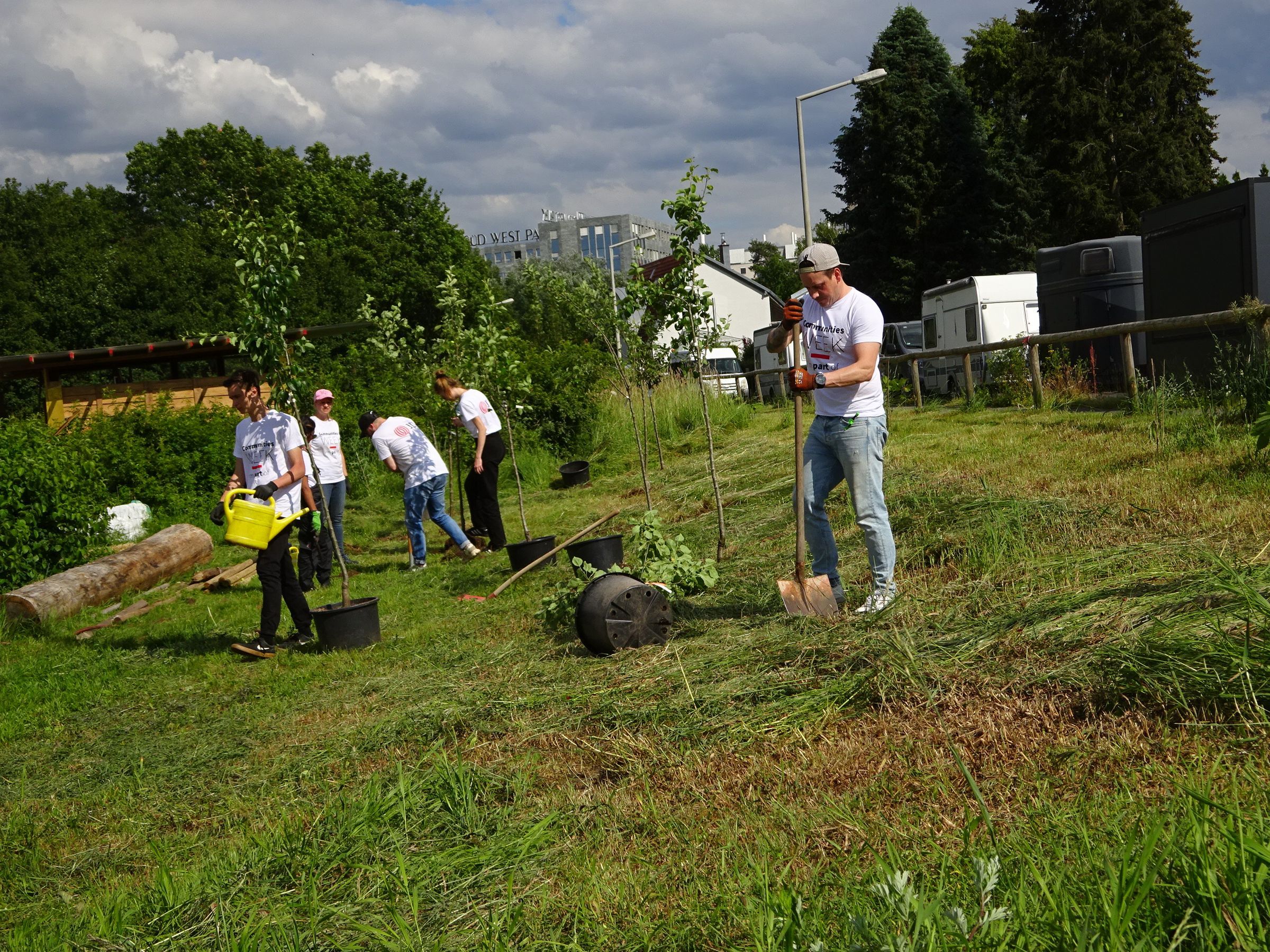 Bäume einsetzen Bäume einsetzen