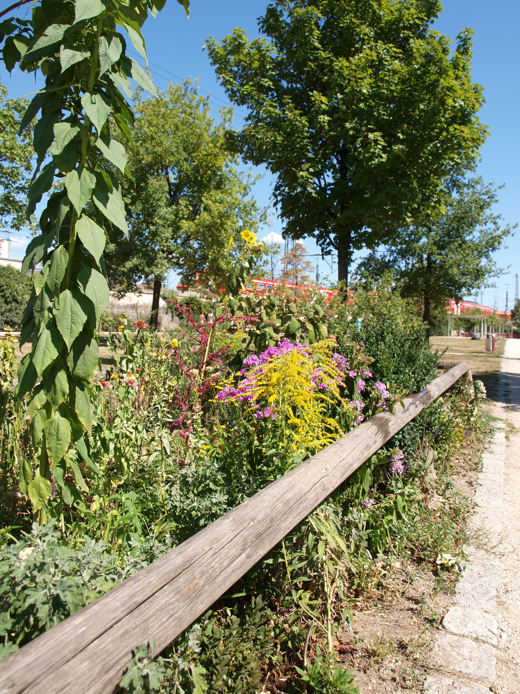 Beet im Südstadtpark