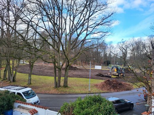 weggebaggerte Wiese im Platnersbergpark