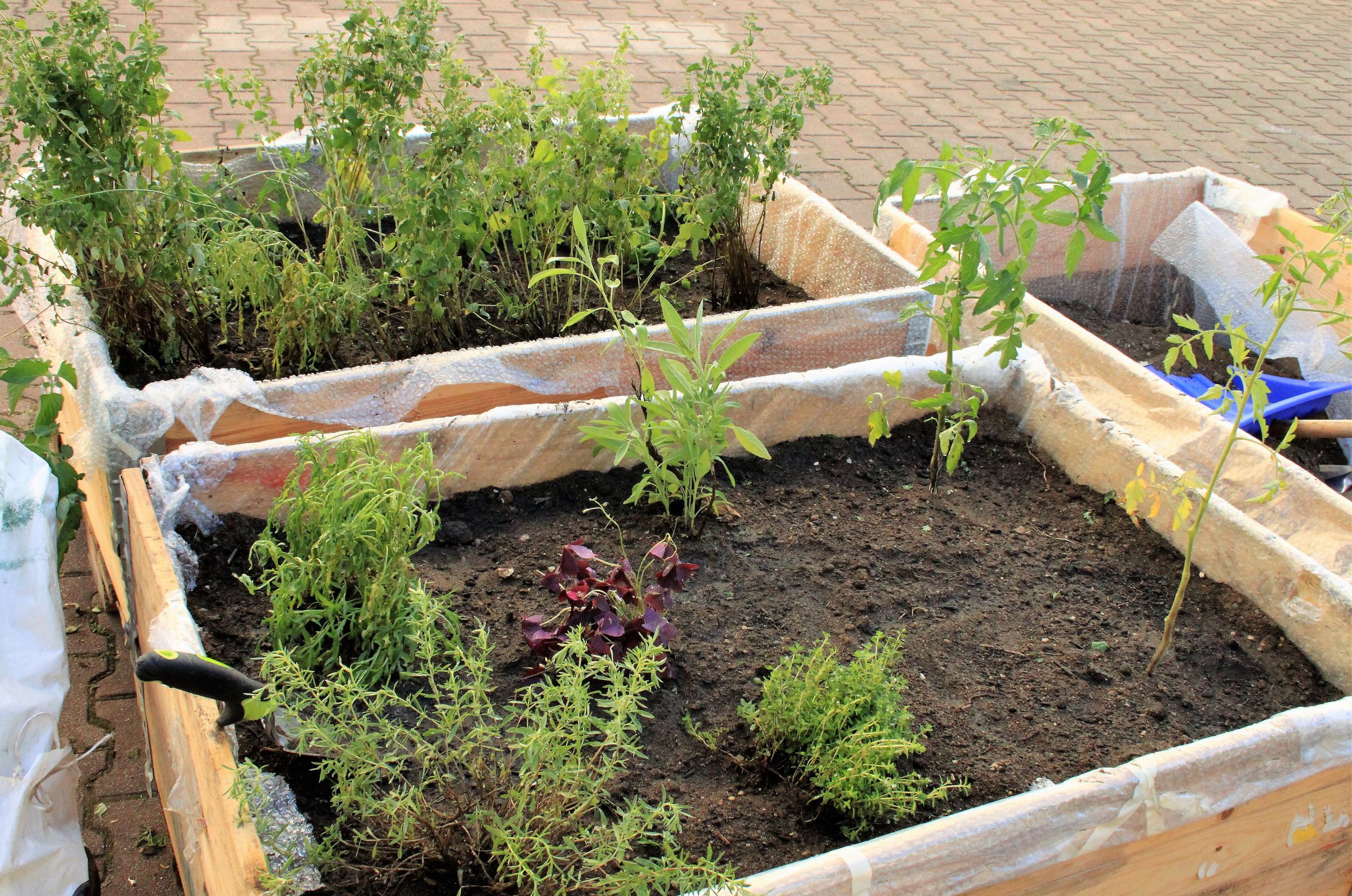 frisch bepflanzte Beete frisch bepflanzte Beete