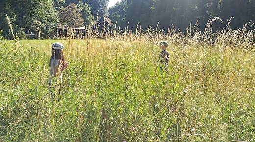 Insektenforscher auf der Wiese