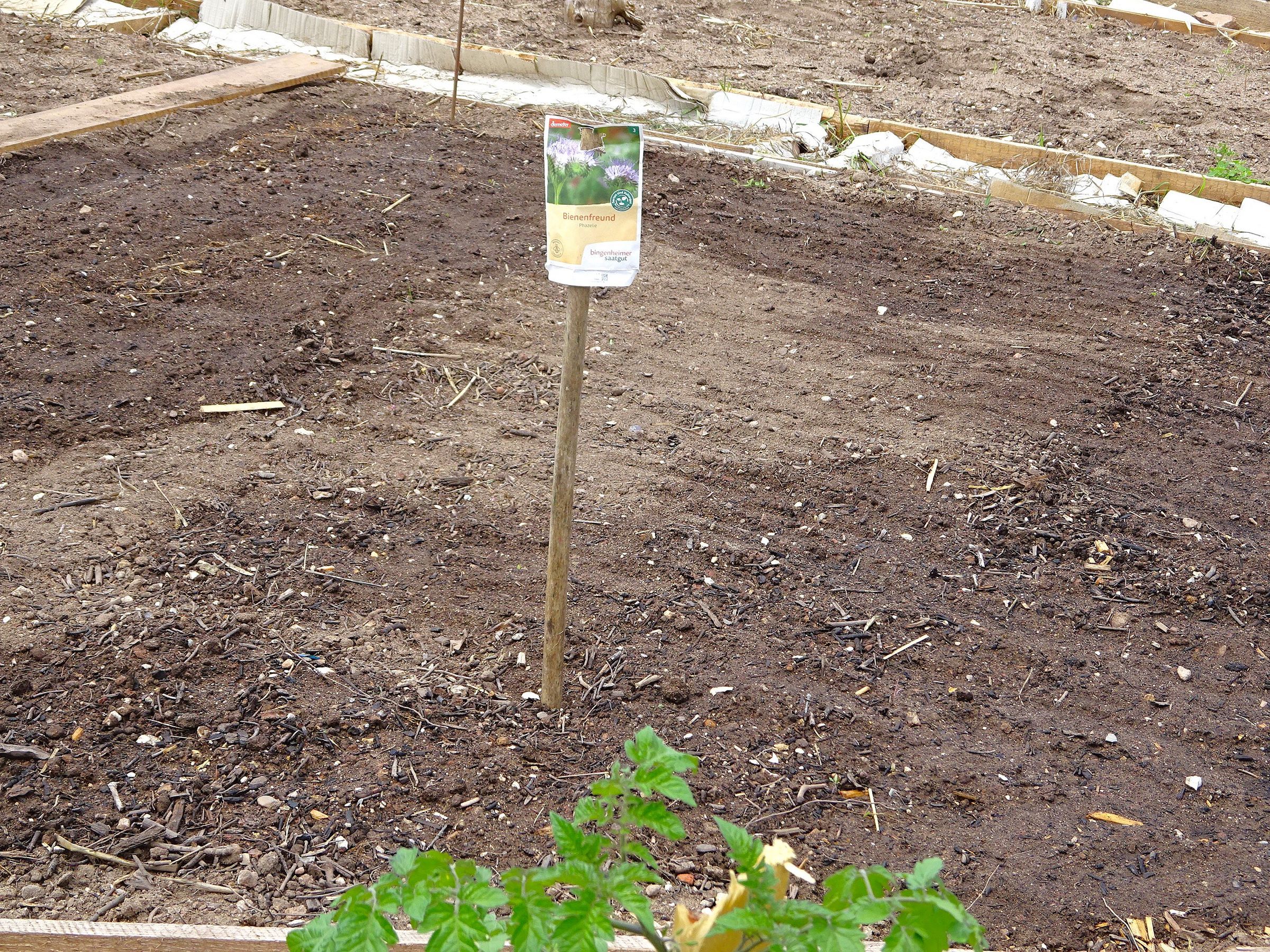 Fertiges Bienenbeet Fertiges Bienenbeet