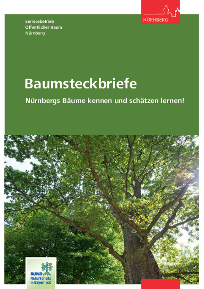 Titelblatt Baumsteckbriefe