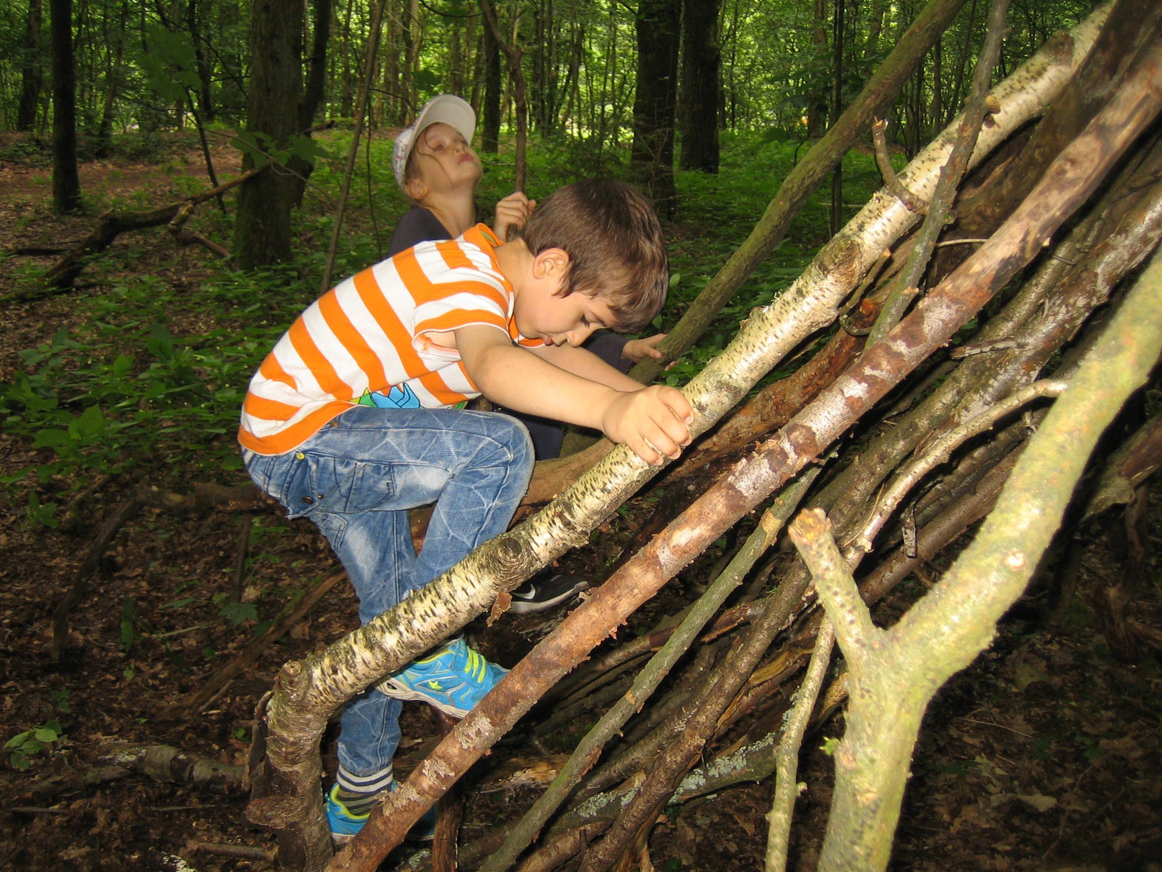 ... in ihrem Element Waldwichtel