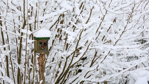Verschneiter Nistkasten