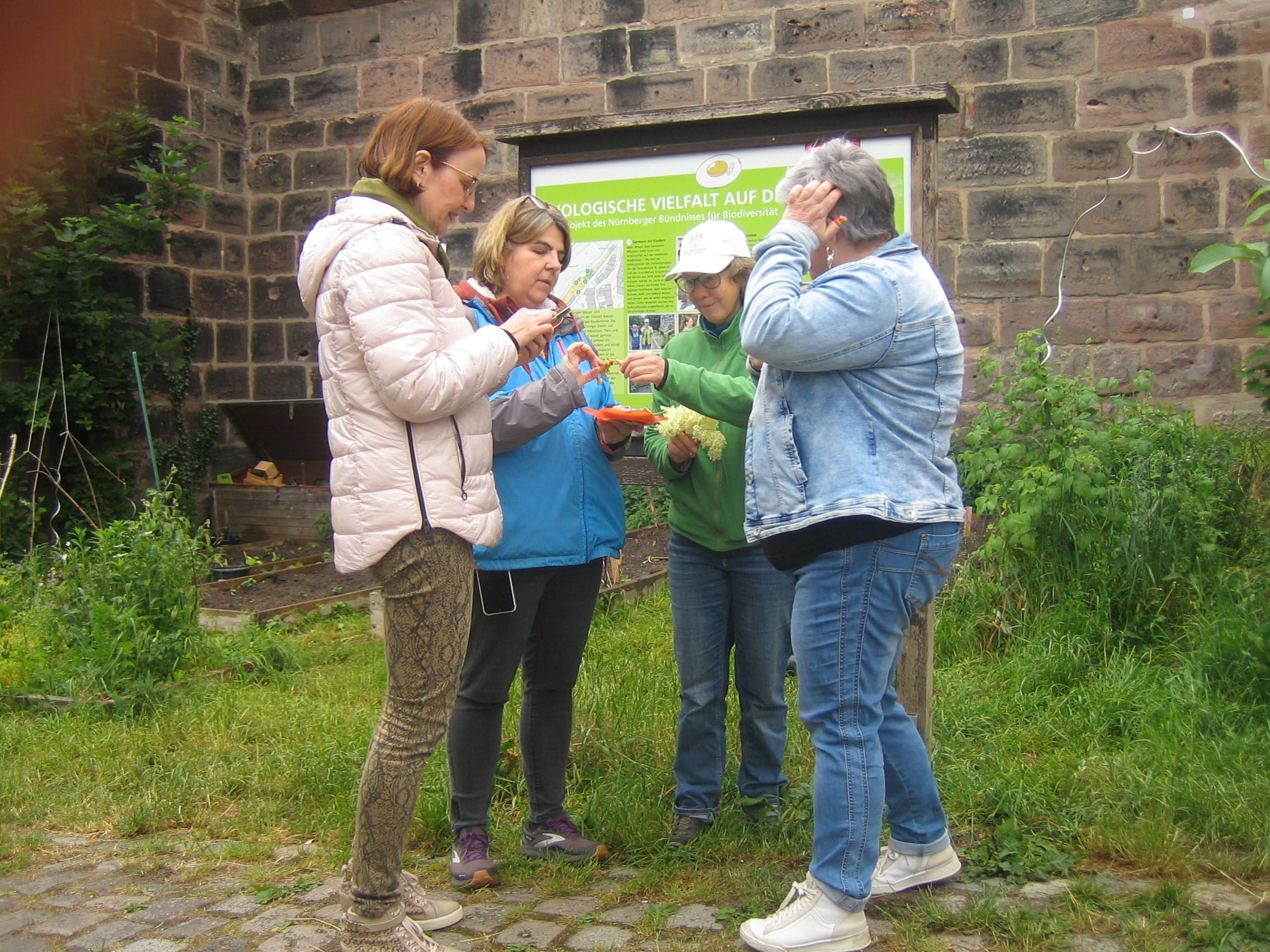 Gäste auf der Mauer