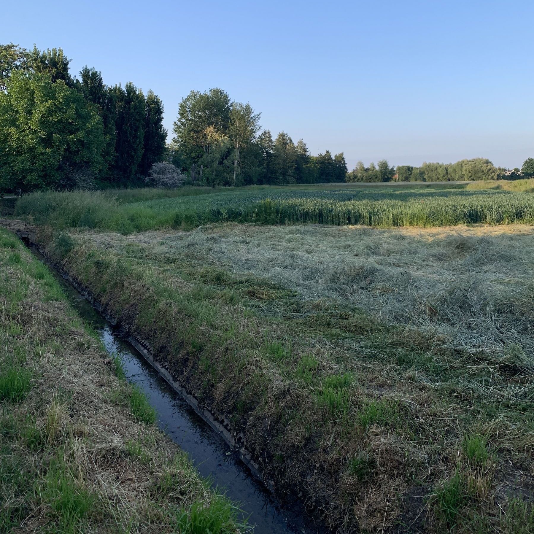 Wetzendorfer Landgraben
