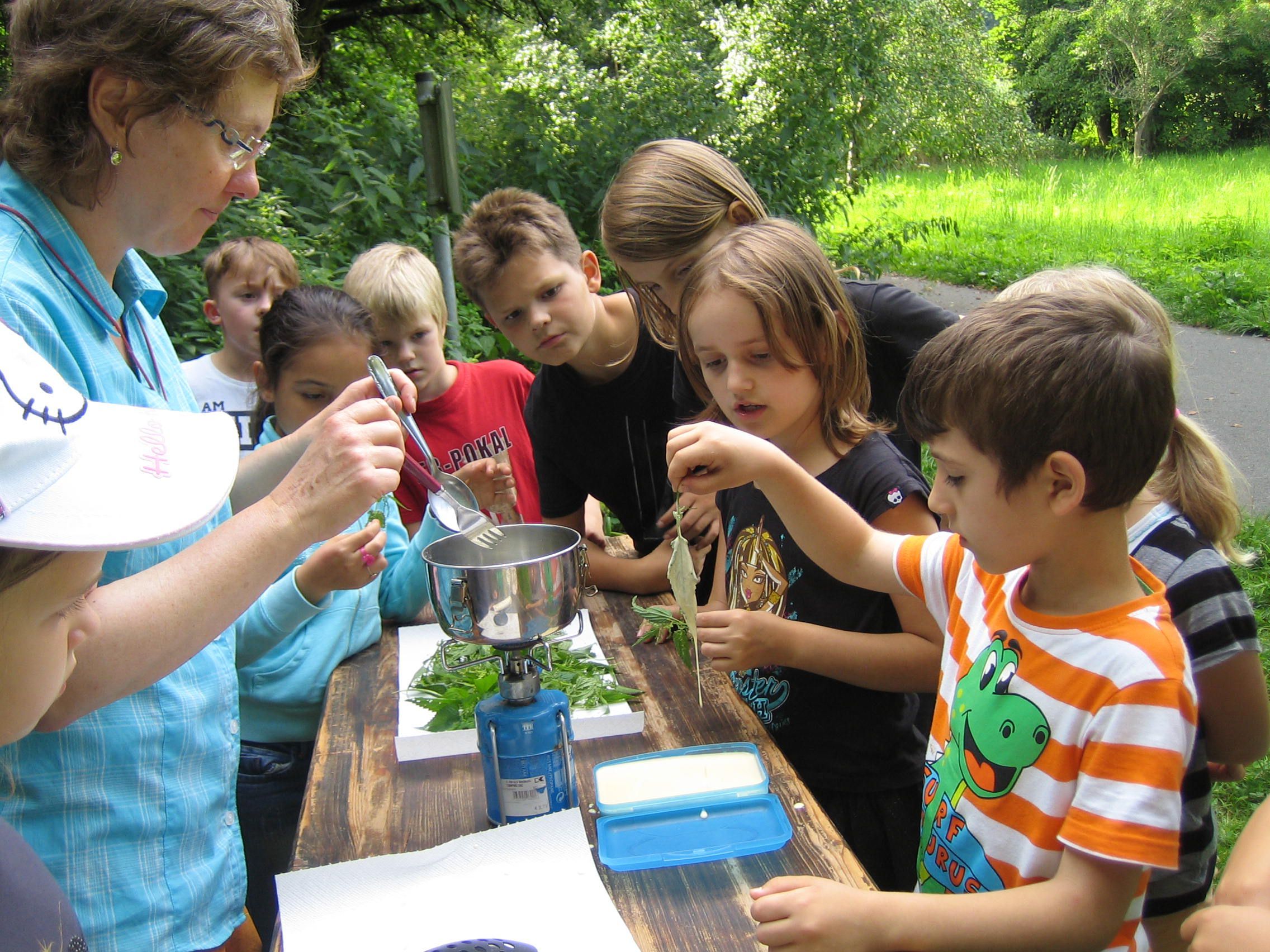 Die Waldwichtel backen Brennnesselchips. Waldwichtel