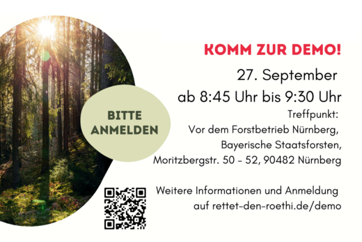 Flyer Demo gegen Sandabbau