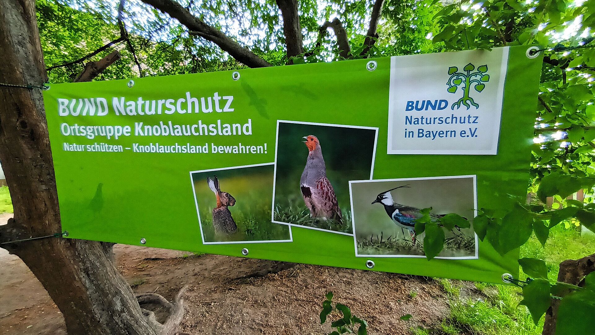 Tag der offenen Tür im Knoblauchsland BUND Naturschutz in Bayern e.V.