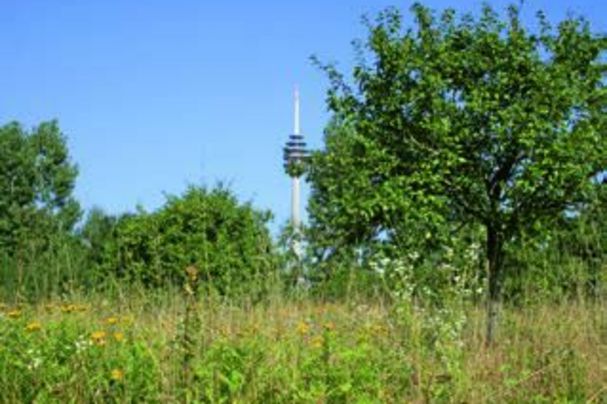 Grünflächen erhalten