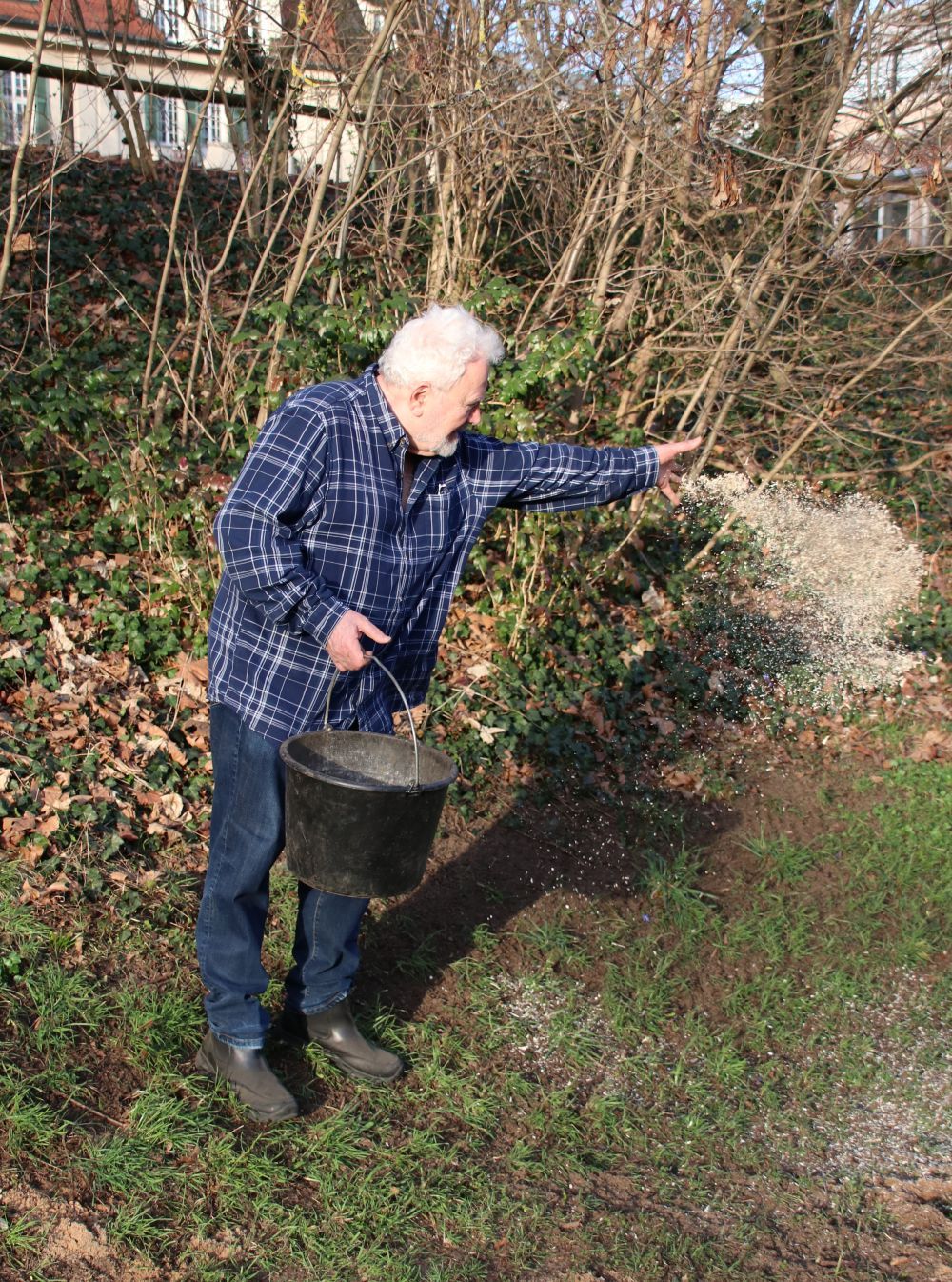 Wöhrder Wiese Sandterrasse (Foto: Wolfgang Dötsch) Wöhrder Wiese Sandterrasse