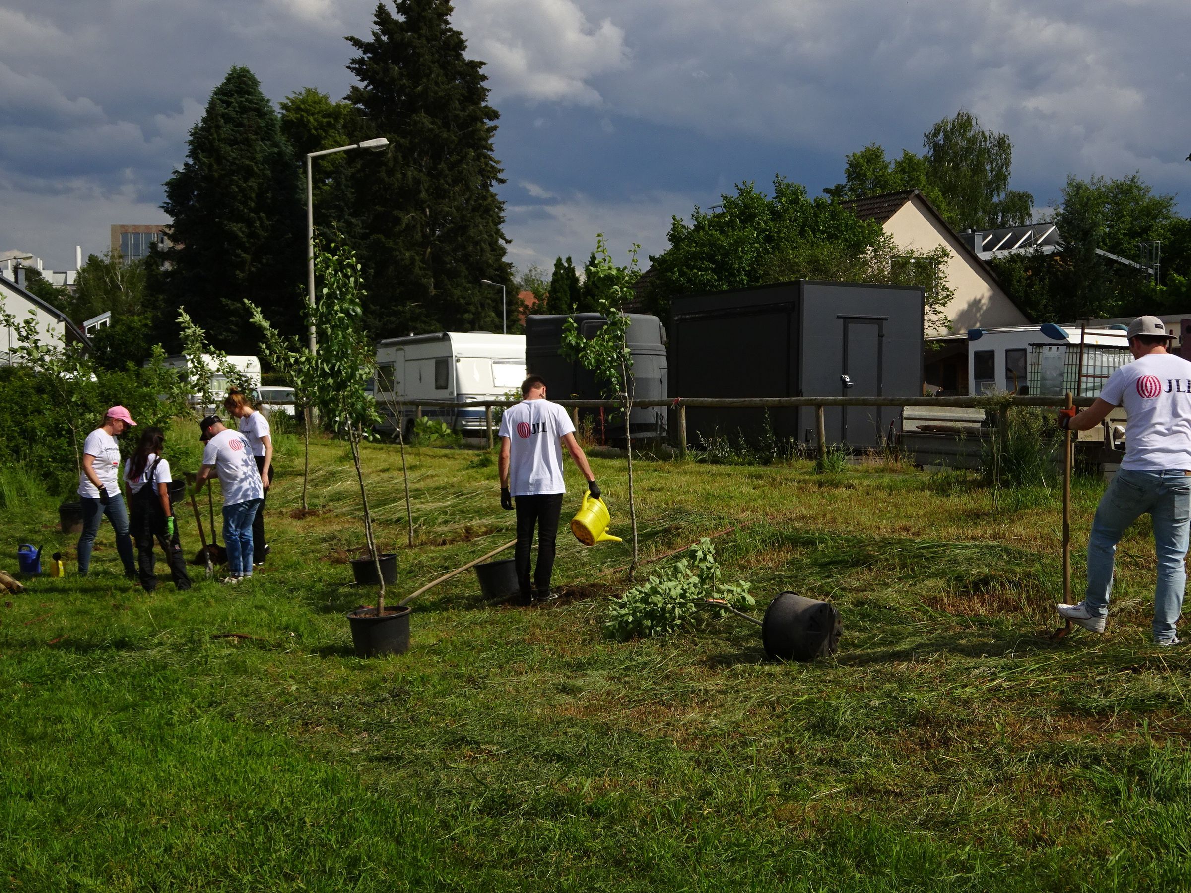 Bäume einsetzen Bäume einsetzen
