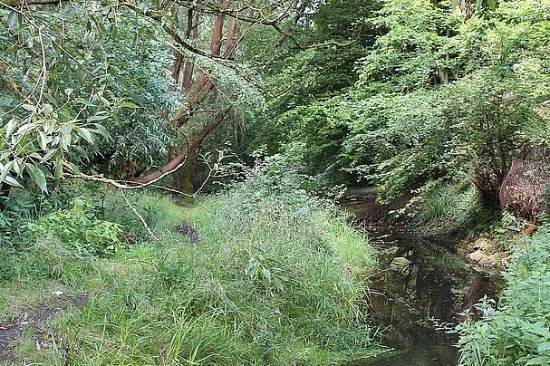 Goldbach am Metthingweiher