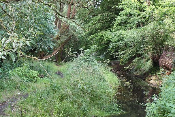 Goldbach am Metthingweiher