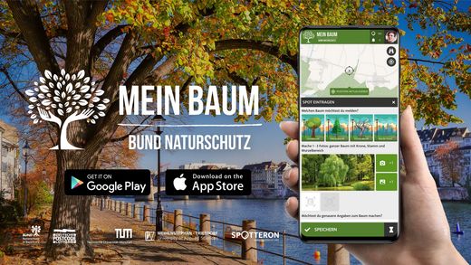 MeinBaum App by SPOTTERON