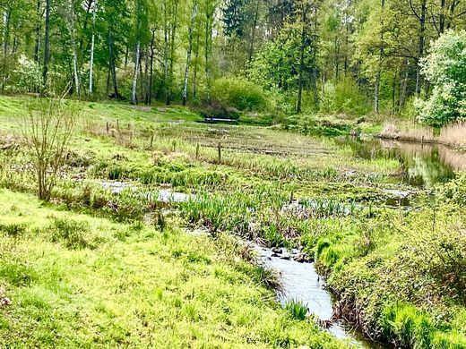 Langwassergraben (Foto: Hiltrud Gödelmann)