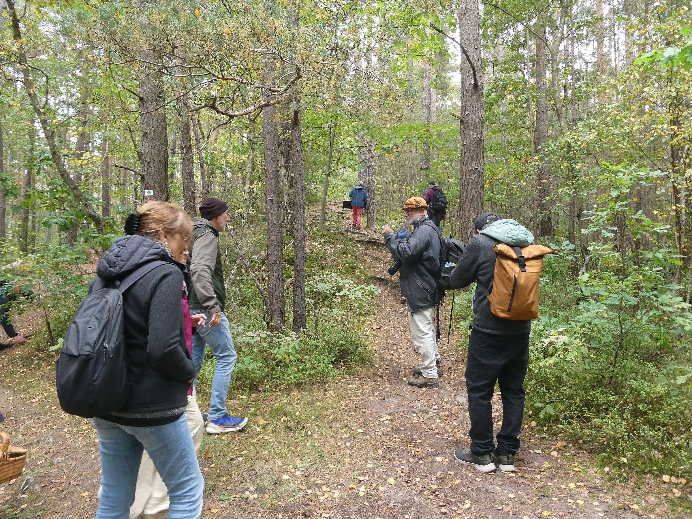 Foto: Ingrid Teutter