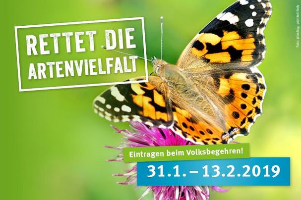 Rettet die Bienen!