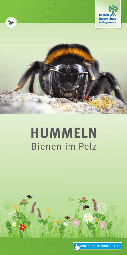 Flyer zur Ausstellung Flyer zur Ausstellung